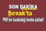 Şırnak'ta PKK'nın tuzakladığı bomba patladı!