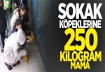 SOKAK KÖPEKLERİNE 250 KİLOGRAM MAMA