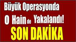 Son dakika: Büyük operasyonda o hain de yakalandı!