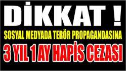 Sosyal medyada terör propagandasına 3 yıl 1 ay hapis cezası