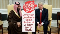 Suudi Arabistan 'yolsuzluk' operasyonunda ikinci dalga