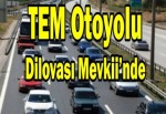 TEM otoyolu Dilovası Mevkii’nde