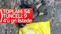 Tunceli'de terör örgütü PKK'ya darbe