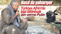 Türkiye'nin Afrin hazırlığı PKK'yı telaşlandırdı