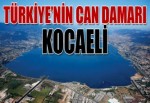 Türkiye'nin can damarı Kocaeli