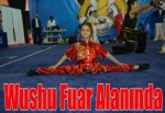 Wushu Fuar Alanında