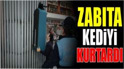 Zabıta kediyi kurtardı