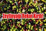 Zeytinyağı'nın Filtresi Uzun Yılların Rekorunu Kırdı