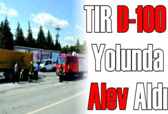 TIR yolda alev aldı