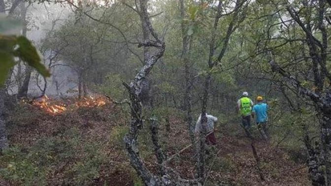 Tunceli Valiliğinden orman yangını açıklaması