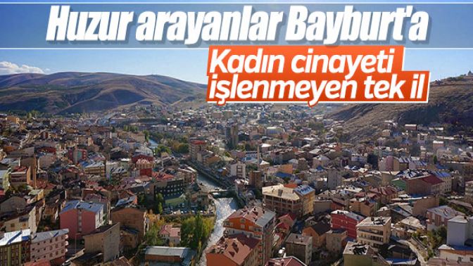 Türkiyede işlenen kadın cinayetlerinin haritası