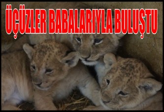 ÜÇÜZLER BABALARIYLA BULUŞTU