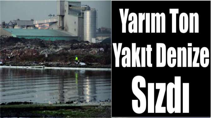 Yarım ton yakıt denize sızdı