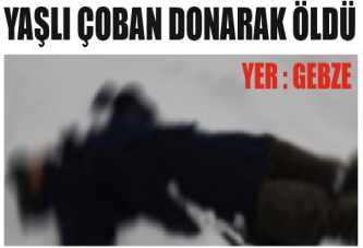 YAŞLI ÇOBAN DONARAK ÖLDÜ