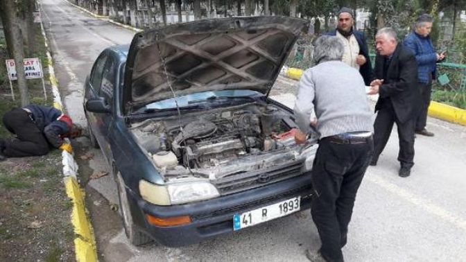 Yavru kedi ürkünce ardı ardına araçların motorlarına girdi