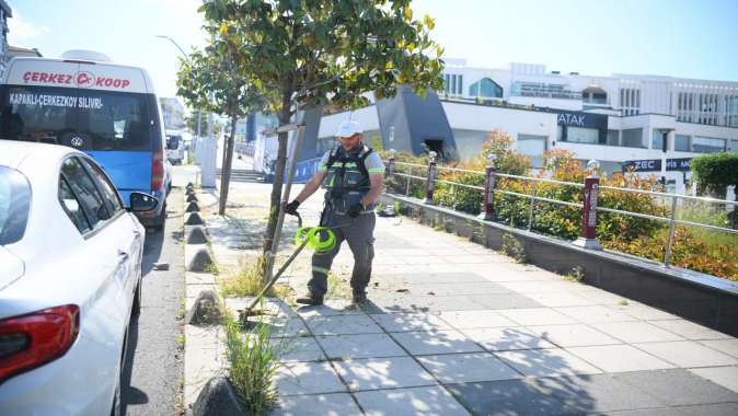 Yeşil alanlarda bakım, budama ve ot biçme çalışmaları