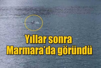 Yıllar sonra Marmara Denizi'nde